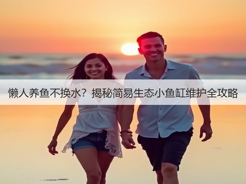 懒人养鱼不换水？揭秘简易生态小鱼缸维护全