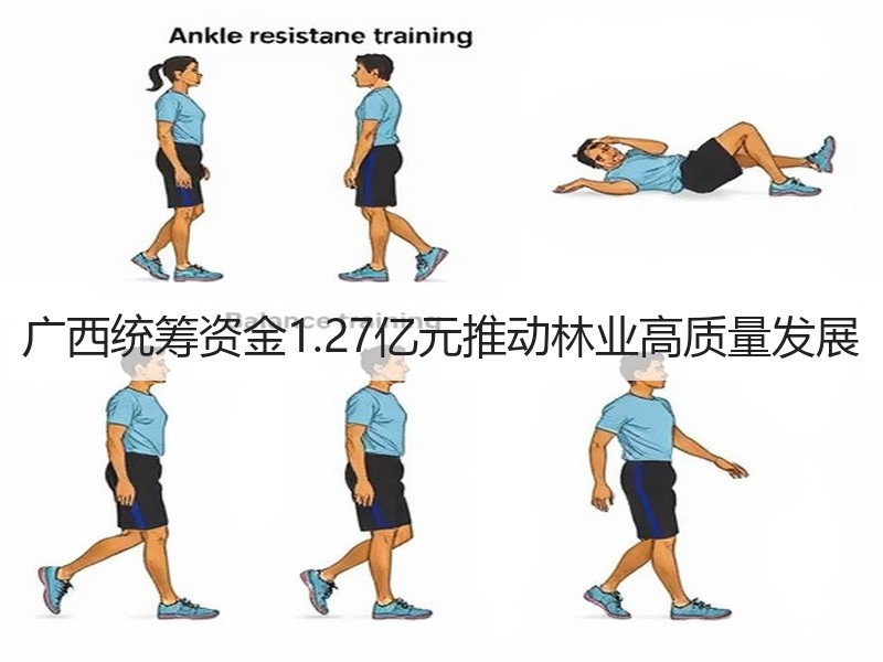 广西统筹资金1.27亿元推动林业高质量发