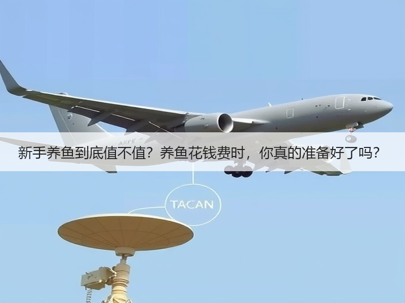 新手养鱼到底值不值？养鱼花钱费时，你真的