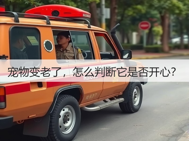 宠物变老了，怎么判断它是否开心？