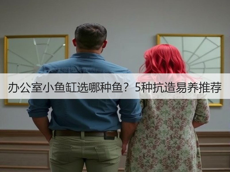 办公室小鱼缸选哪种鱼？5种抗造易养推荐
