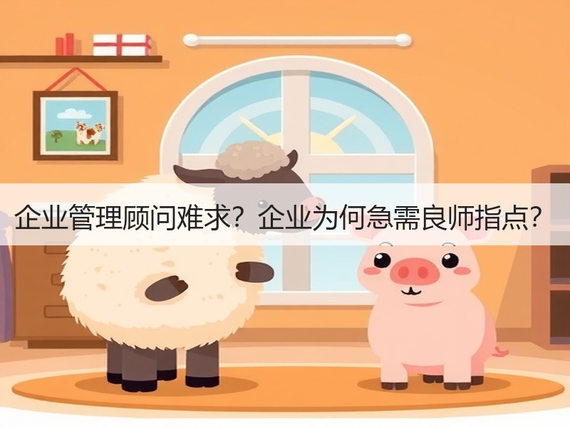 企业管理顾问难求？企业为何急需良师指点？