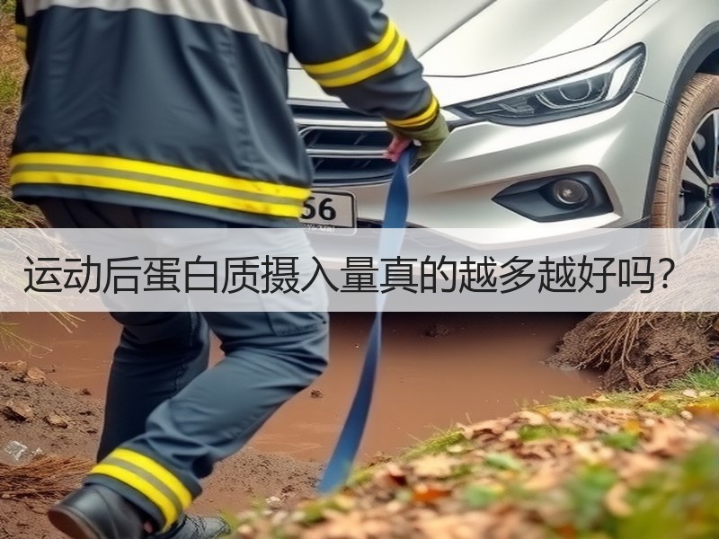 运动后蛋白质摄入量真的越多越好吗？