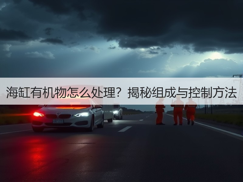 海缸有机物怎么处理？揭秘组成与控制方法