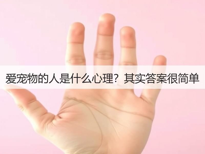 爱宠物的人是什么心理？其实答案很简单