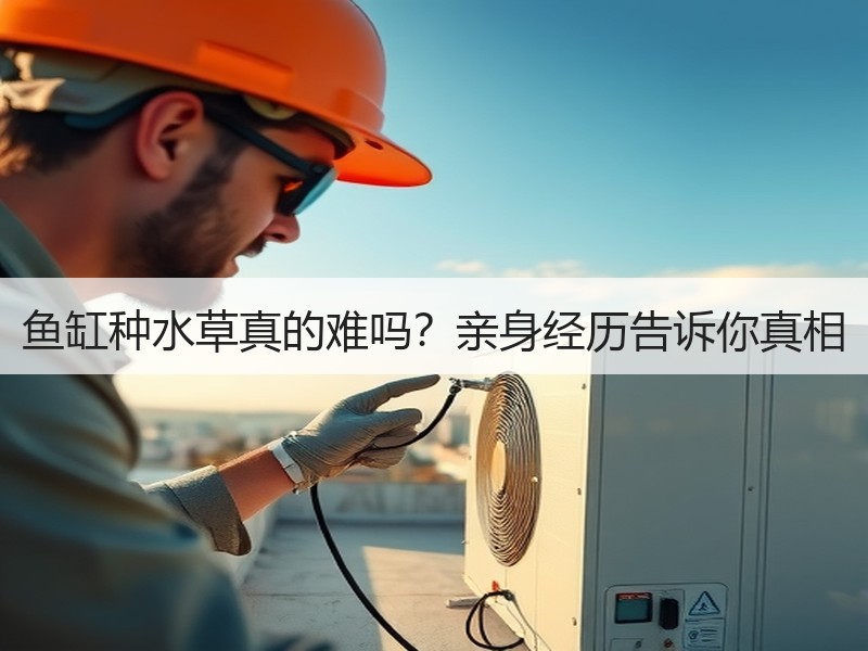 鱼缸种水草真的难吗？亲身经历告诉你真相