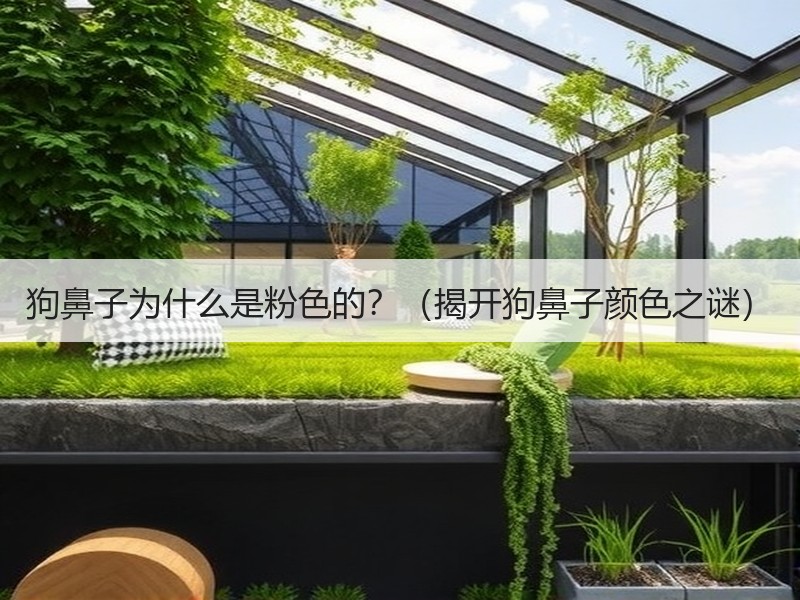 狗鼻子为什么是粉色的？（揭开狗鼻子颜色之