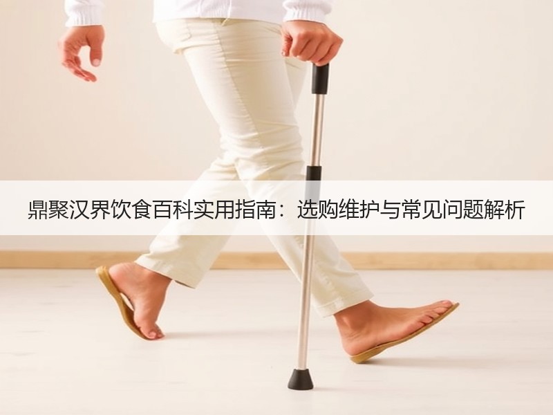 鼎聚汉界饮食百科实用指南：选购维护与常见