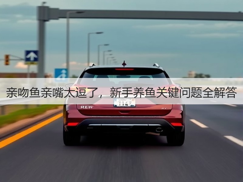 亲吻鱼亲嘴太逗了，新手养鱼关键问题全解答