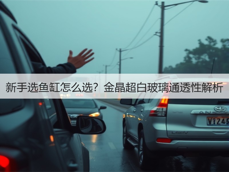 新手选鱼缸怎么选？金晶超白玻璃通透性解析