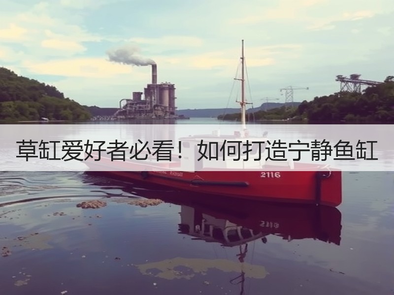 草缸爱好者必看！如何打造宁静鱼缸