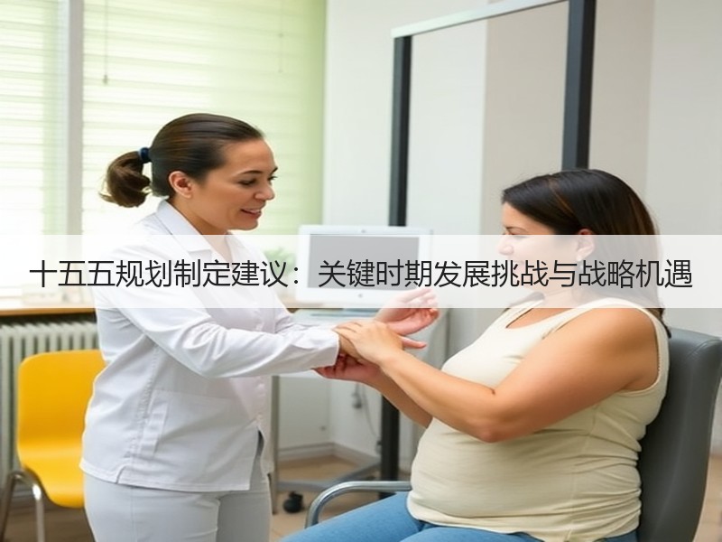 十五五规划制定建议：关键时期发展挑战与战