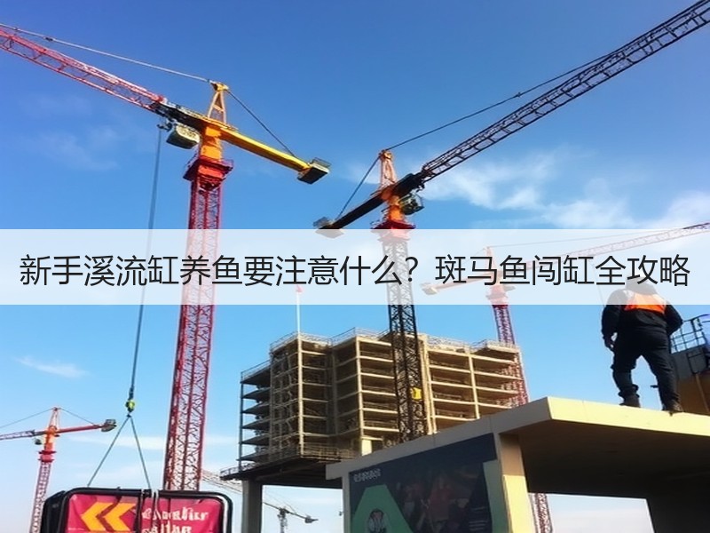 新手溪流缸养鱼要注意什么？斑马鱼闯缸全攻