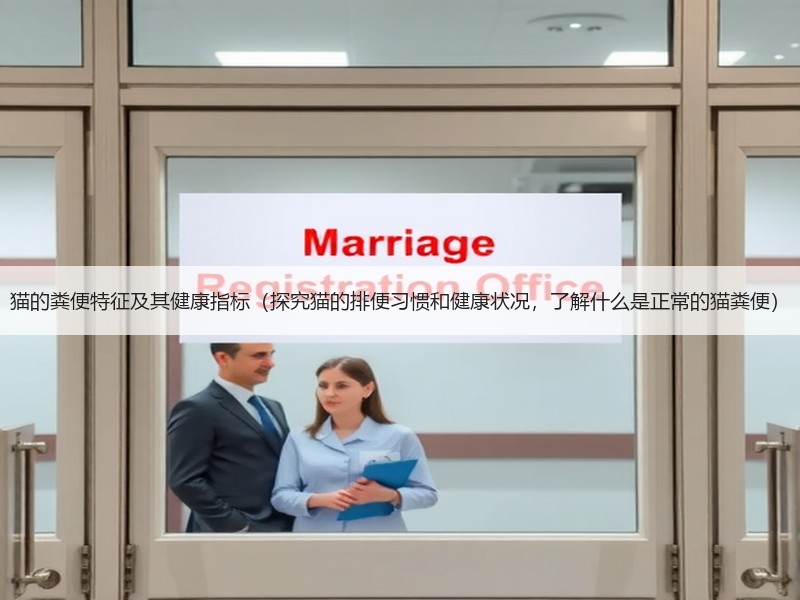 猫的粪便特征及其健康指标（探究猫的排便习