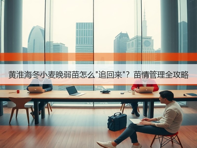 黄淮海冬小麦晚弱苗怎么