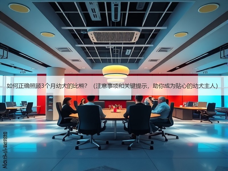 如何正确照顾3个月幼犬的比熊？（注意事项