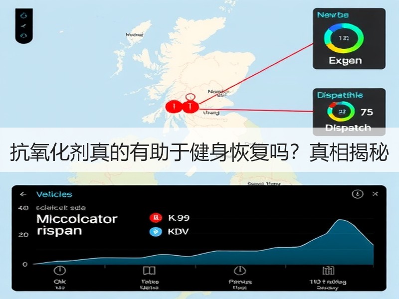 抗氧化剂真的有助于健身恢复吗？真相揭秘
