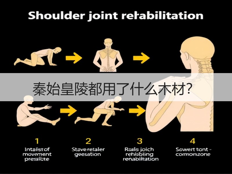 秦始皇陵都用了什么木材？