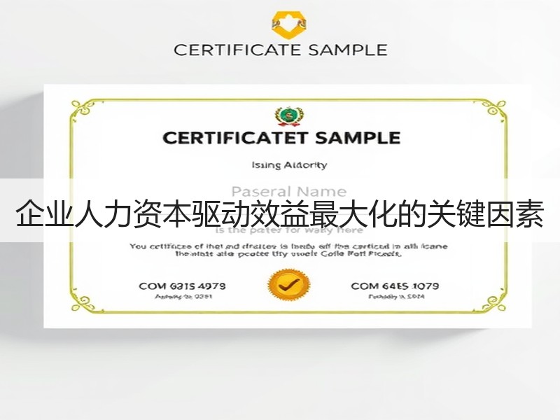 企业人力资本驱动效益最大化的关键因素
