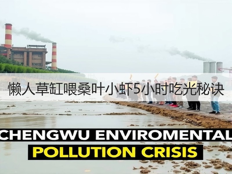 懒人草缸喂桑叶小虾5小时吃光秘诀