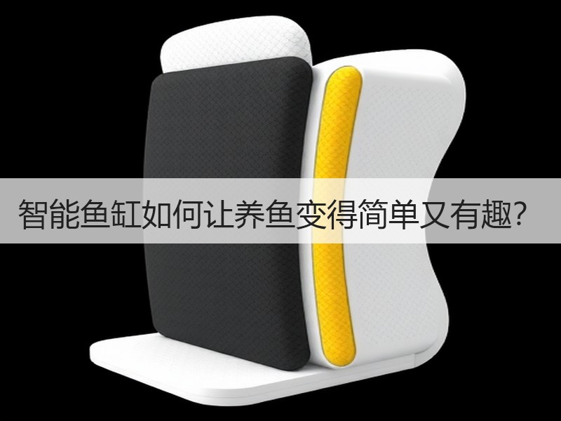 智能鱼缸如何让养鱼变得简单又有趣？