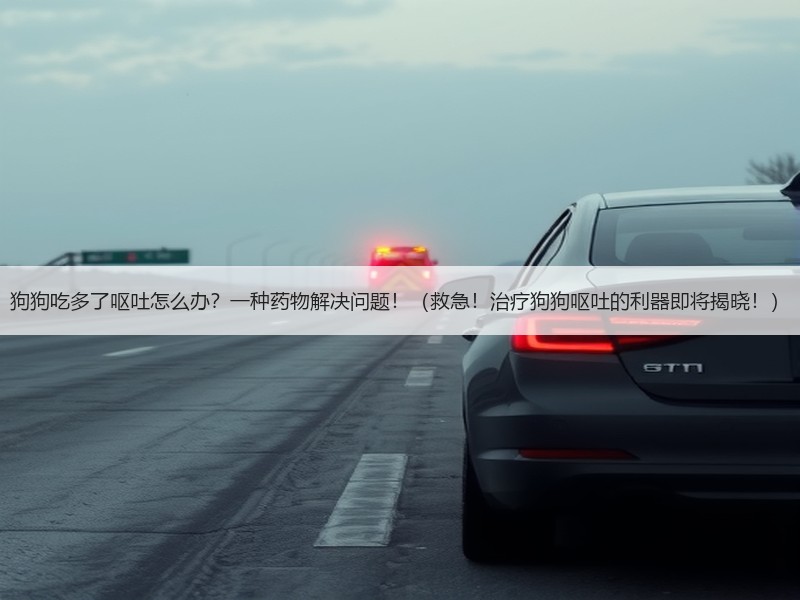 狗狗吃多了呕吐怎么办？一种药物解决问题！