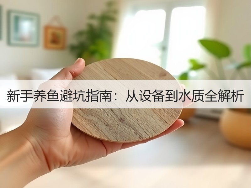 新手养鱼避坑指南：从设备到水质全解析