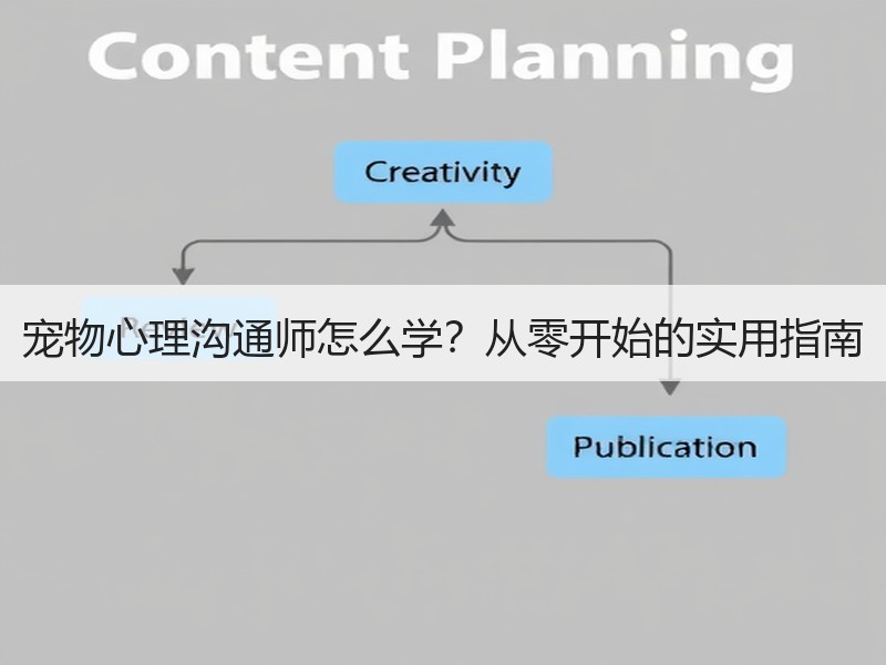 宠物心理沟通师怎么学？从零开始的实用指南