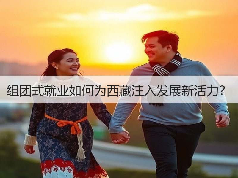 组团式就业如何为西藏注入发展新活力？