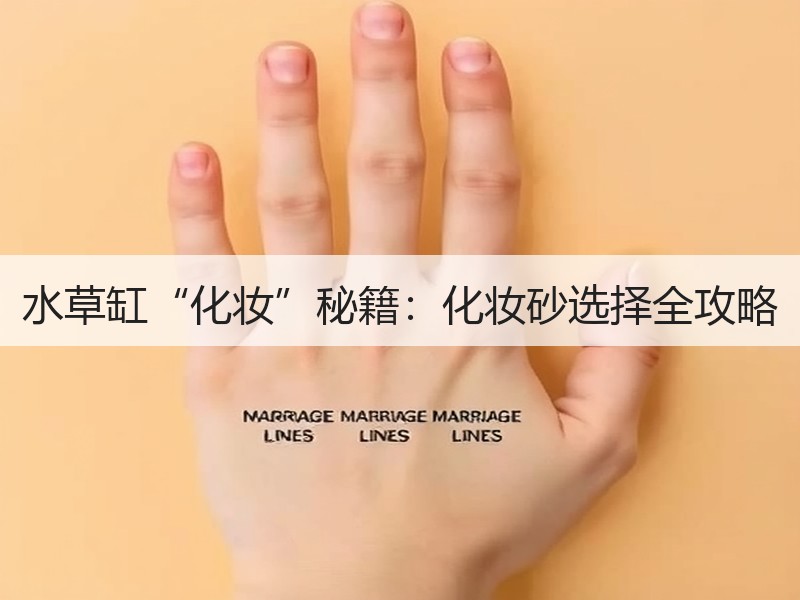 水草缸“化妆”秘籍：化妆砂选择全攻略