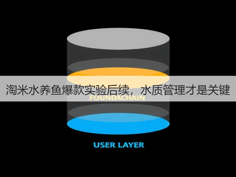 淘米水养鱼爆款实验后续，水质管理才是关键