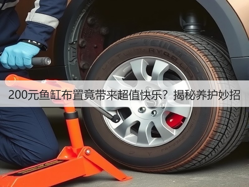 200元鱼缸布置竟带来超值快乐？揭秘养护