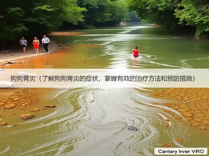 狗狗胃炎（了解狗狗胃炎的症状，掌握有效的