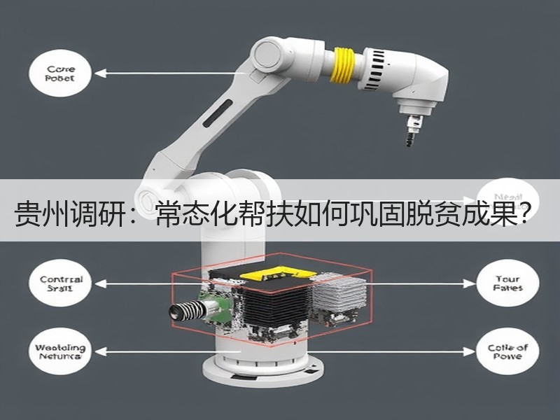 贵州调研：常态化帮扶如何巩固脱贫成果？