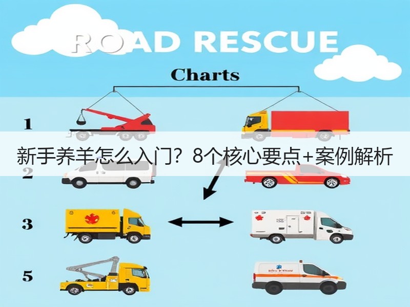 新手养羊怎么入门？8个核心要点+案例解析