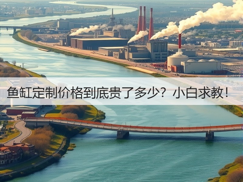 鱼缸定制价格到底贵了多少？小白求教！
