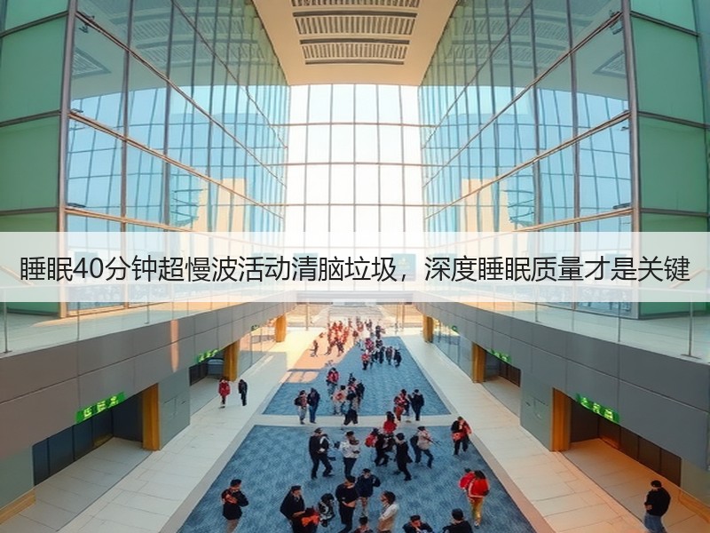 睡眠40分钟超慢波活动清脑垃圾，深度睡眠