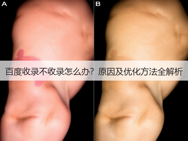 百度收录不收录怎么办？原因及优化方法全解