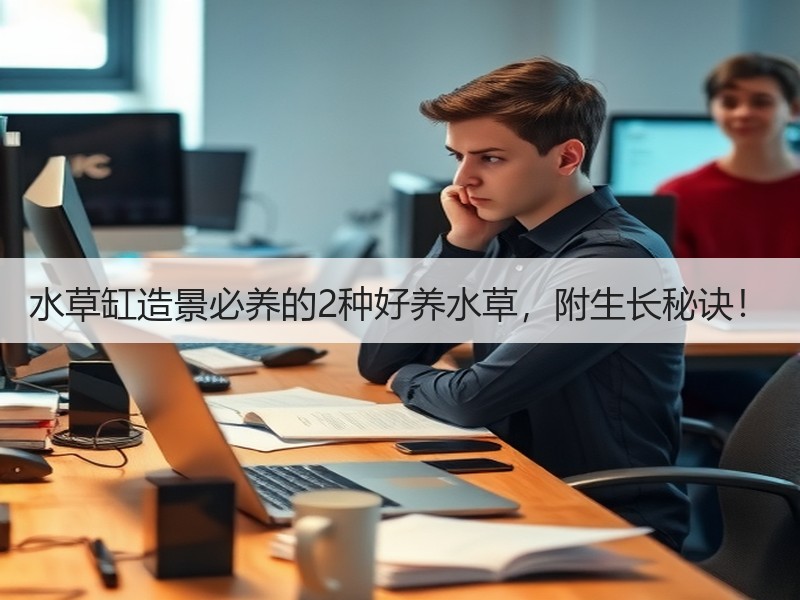 水草缸造景必养的2种好养水草，附生长秘诀